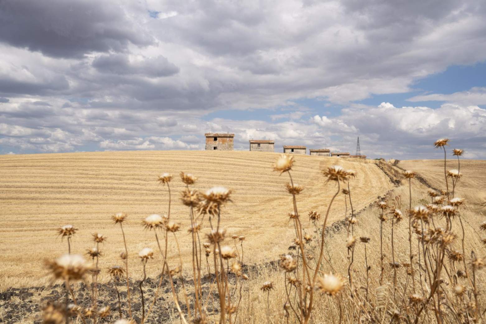 Foto di Andrea Frazzetta, Basilicata, nei pressi di Palazzo San Gervasio