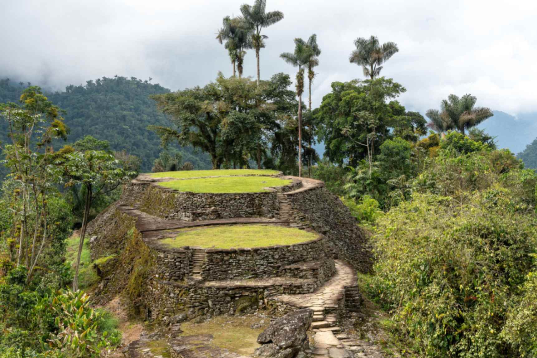 Aree pianeggianti sopraelevate della Ciudad Perdida © Foto: Jorge Mario Arango
