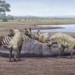 quicksand trap Orce Located at Fuente Nueva-3, this Early Pleistocene site contains some of the earliest evidence of human presence in Western Europe. Credits: Dibujo Mauricio Antón Hienas+Mamut-Color