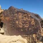 fungi lichens rock art Negev petroglyphs showing abstract forms. Credits: Laura Rabbachin, INTK, Academy of Fine Arts, Vienna, CC BY