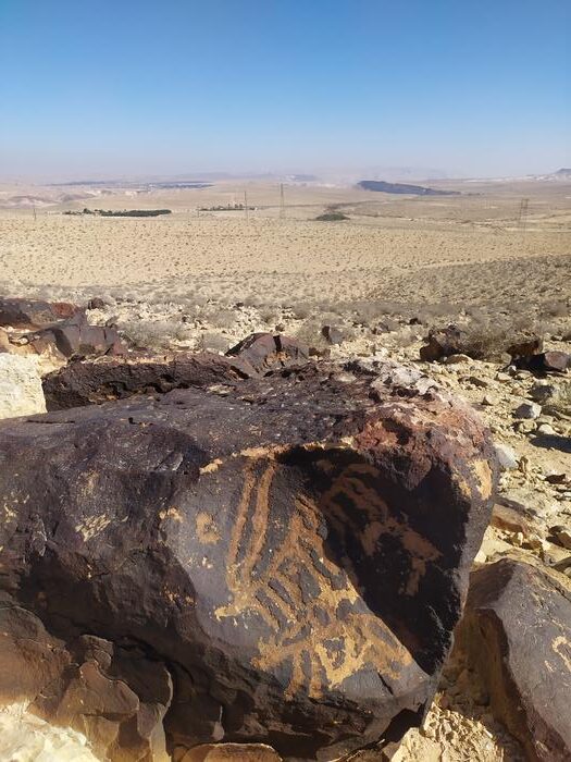 Negev petroglyphs of animals. Credits: Laura Rabbachin, INTK, Academy of Fine Arts, Vienna, CC BY