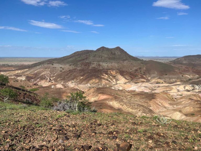 Cambios climáticos, ambientales y la evolución de mamíferos y homininos en África Oriental Sedimentary exposures from Lake Turkana in Kenya, where some of the studied fossils come from/I. A. Lazagabaster