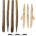 After the Ice Age, people returned to the Swabian Jura around 16,500 years ago, 3000 years earlier than previously thought; the study is in Journal of Archaeological Science: Reports Organic projectiles from the Vogelherd cave – left: broken spearhead with double beveled base, right: barbed spearhead. Photo: Benjamin Schürch