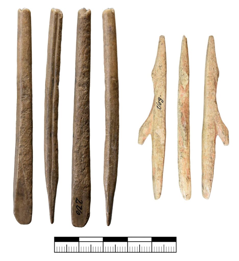Organic projectiles from the Vogelherd cave – left: broken spearhead with double beveled base, right: barbed spearhead. Photo: Benjamin Schürch