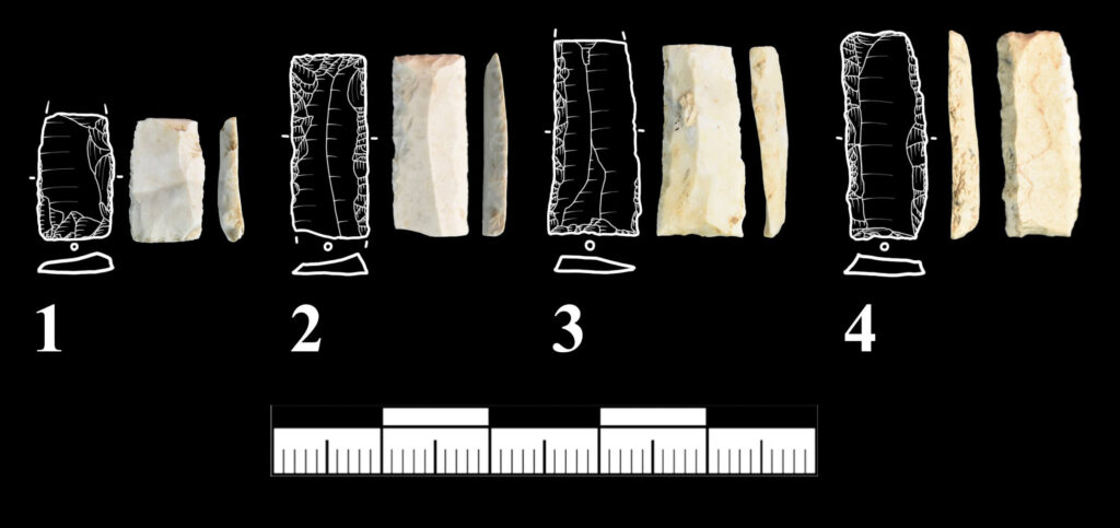 Finds from the Vogelherd cave: Stone artifacts carved by humans, sharpened blades. Image: Benjamin Schürch