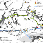 Tanimbar islands Map of Wallacea, delineating Birdsell's northern and southern migration routes. The map also highlights the oldest Pleistocene sites on each island. Along the northern route, the following sites are indicated: 1) Leang Karampuang, Leang Tedongnge, and Leang Bulu Sipong 4, 2) Goa Topogaro, 3) Leang Sarru, 4) Daeo 2, 5) Golo, and 6) Kelo 6. On the southern route, the following sites are highlighted: 7) Liang Bua, 8) Lua Meko, 9) Makpan, 10) Laili, 11) Asitau Kuru, Lene Hara, Matja Kuru 2, 12) Here Sorot Entapa, and 13) Elivavan. The last two sites represent connections to Sahul: 14) Leang Lemdubu, currently in the Aru Islands but once connected to the mainland during the Pleistocene, and 15) Madjedbebe, the oldest known site in Sahul. Credits: Kaharudin et al. 2024, CC BY 4.0