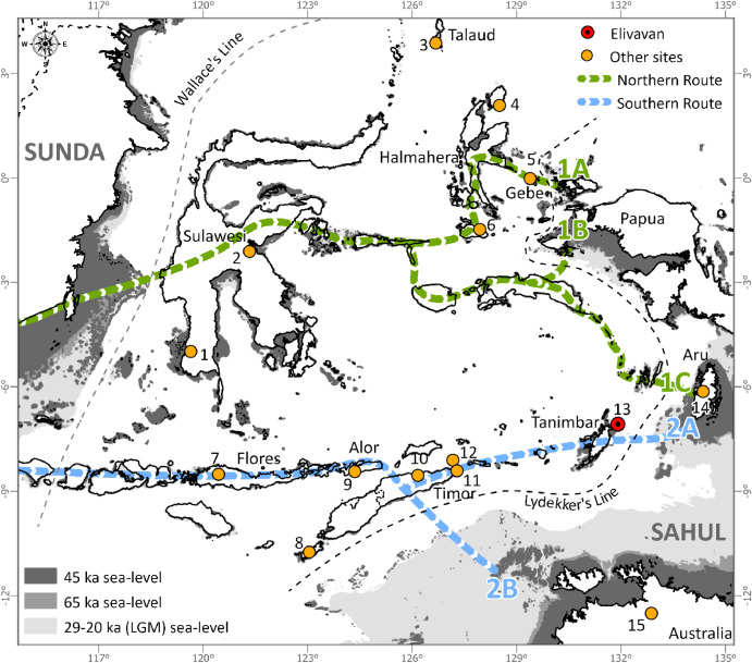 Map of Wallacea, delineating Birdsell's northern and southern migration routes. The map also highlights the oldest Pleistocene sites on each island. Along the northern route, the following sites are indicated: 1) Leang Karampuang, Leang Tedongnge, and Leang Bulu Sipong 4, 2) Goa Topogaro, 3) Leang Sarru, 4) Daeo 2, 5) Golo, and 6) Kelo 6. On the southern route, the following sites are highlighted: 7) Liang Bua, 8) Lua Meko, 9) Makpan, 10) Laili, 11) Asitau Kuru, Lene Hara, Matja Kuru 2, 12) Here Sorot Entapa, and 13) Elivavan. The last two sites represent connections to Sahul: 14) Leang Lemdubu, currently in the Aru Islands but once connected to the mainland during the Pleistocene, and 15) Madjedbebe, the oldest known site in Sahul. Credits: Kaharudin et al. 2024, CC BY 4.0