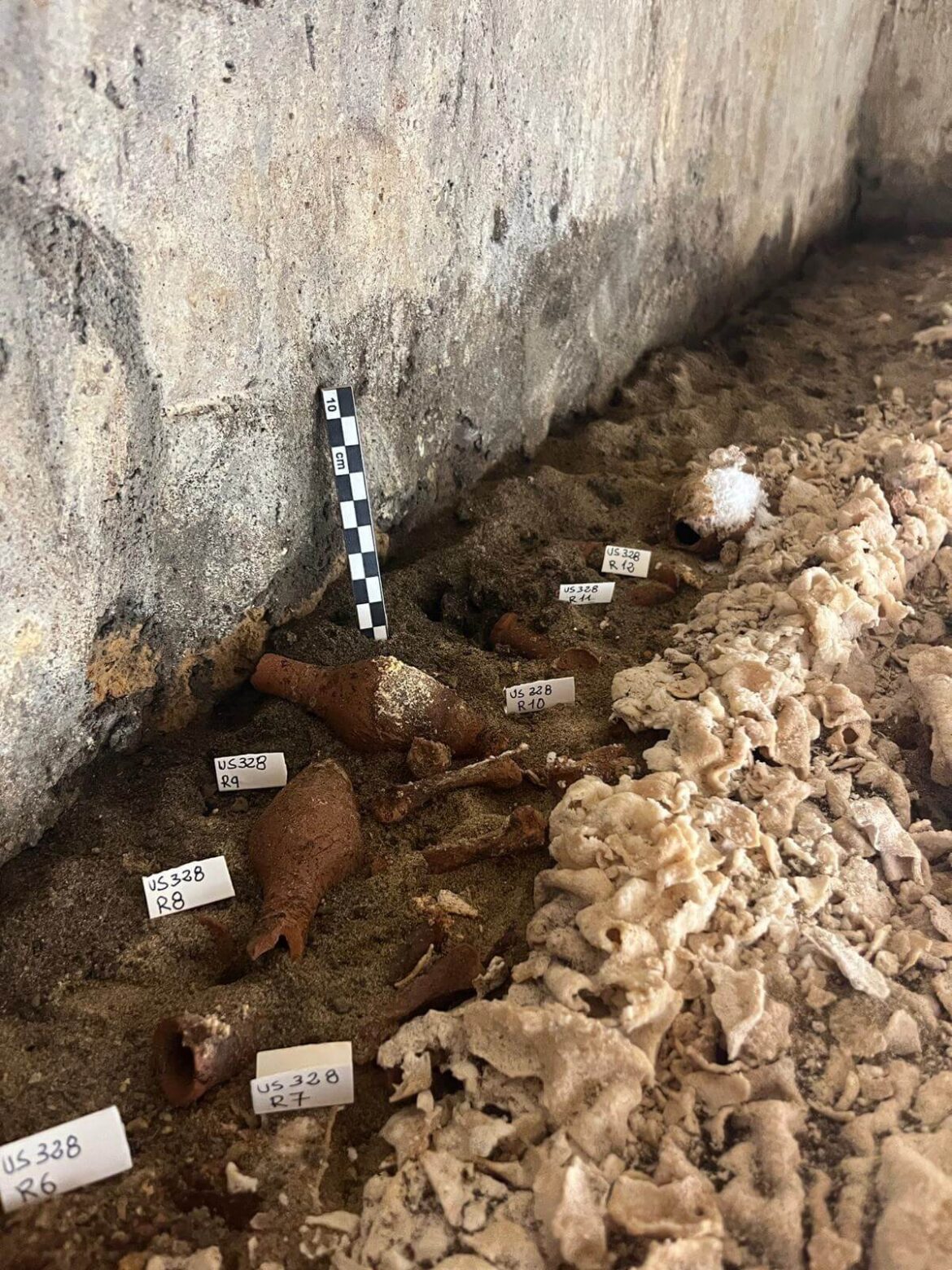Non si fermano le analisi all’interno della Tomba del Cerbero recentemente scoperta nel territorio di Giugliano dalla SABAP Napoli. Foto Soprintendenza Archeologia, Belle Arti e Paesaggio per l'area metropolitana di Napoli