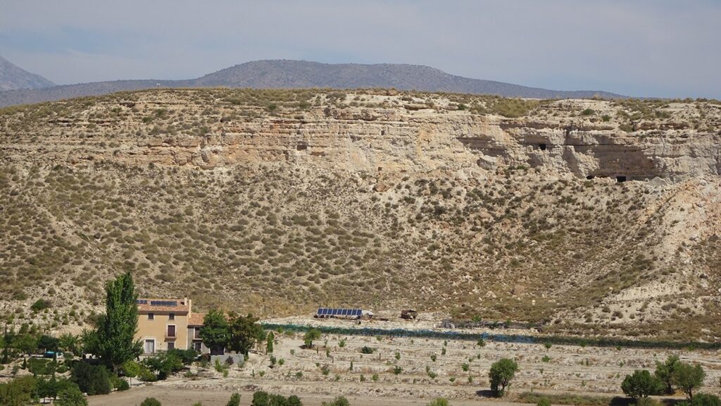 The data of this study are very precise thanks to the long sedimentary sequence that outcrops in Orce, with 15 vertebrate deposits superimposed in different stratigraphic positions. Photo: Lluís Gibert