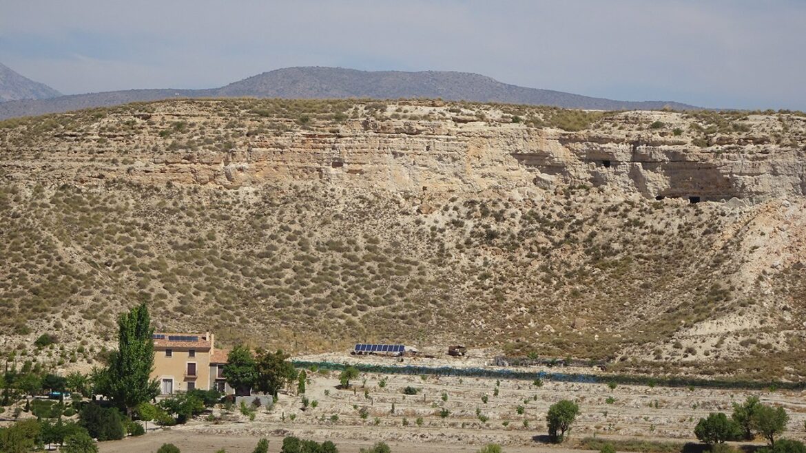 first european hominids The data of this study are very precise thanks to the long sedimentary sequence that outcrops in Orce, with 15 vertebrate deposits superimposed in different stratigraphic positions. Photo: Lluís Gibert