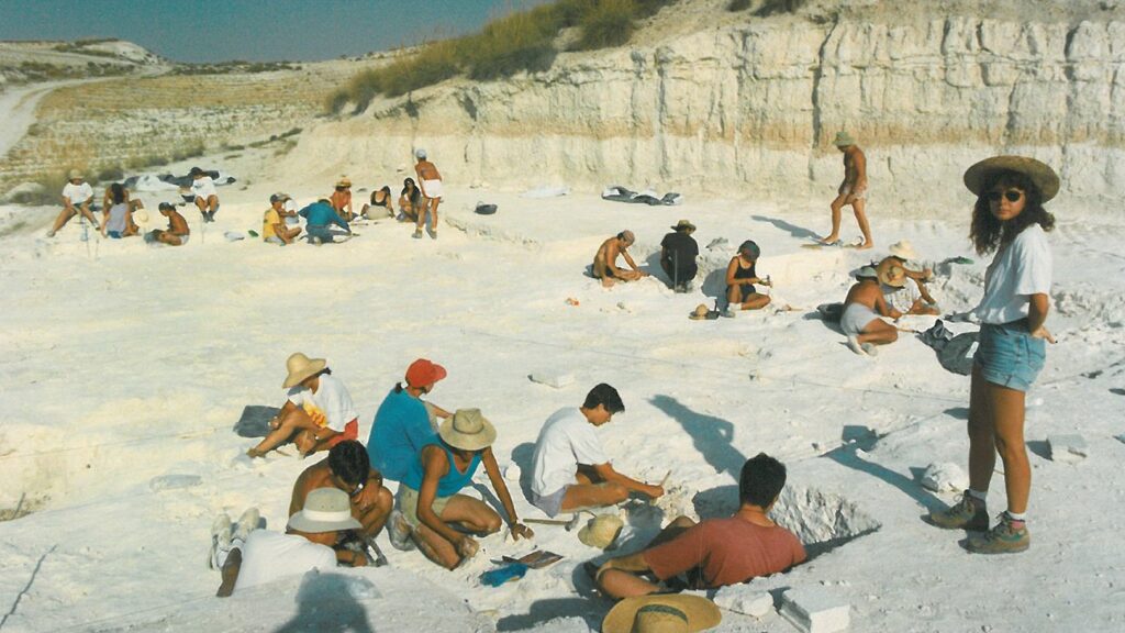 Photo of the last excavations carried out at the site of Venta Micena 3 in Orce in 1992, where the first human remains were discovered. Photo: Lluís Gibert