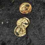 Pompei: un uomo e una donna con un piccolo tesoro di monete e monili preziosi, vittime dell’eruzione, ritrovati nella Regio IX, Insula 10