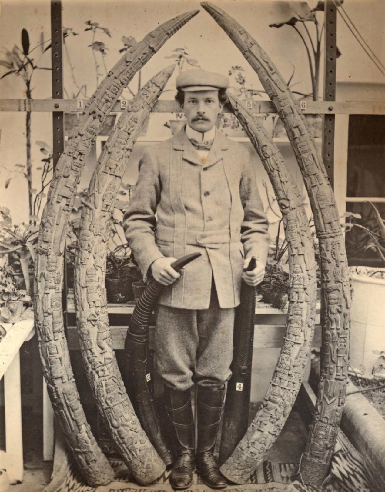Ritratto in studio di William D. Webster, fine anni 1890. The Trustees of the British Museum, Londra, fotografo ignoto