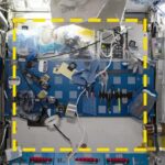 A sample location from the Sampling Quadrangle Assemblages Research Experiment (SQuARE), Square 03 in the starboard Maintenance Work Area of the International Space Station. An open crew berth is visible at right. The yellow dotted line indicates the boundaries of the sample area. Credit: NASA/ISSAP. Walsh et al., 2024, PLOS ONE, CC-BY 4.0