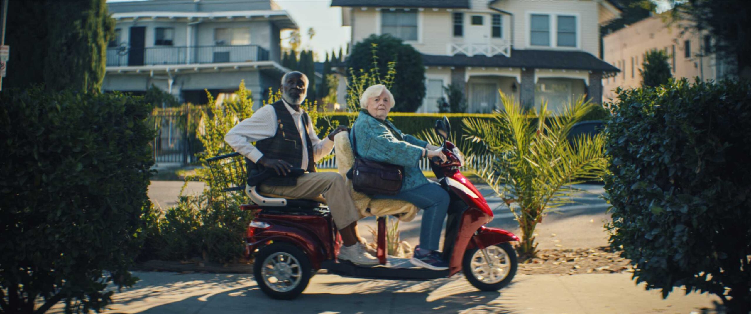 Thelma, film di Josh Margolin