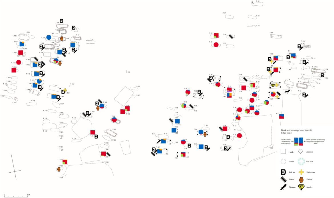 rural communities forming around early medieval elites in post-Roman Italian Society The Langobard-period cemetery of Collegno. Individuals with available genetic data were marked with either a circle (female) or a square (male), representing their estimated genetic ancestry of two model-based clustering analyses as described below. Additionally, artifacts such as weapons, belt sets, and gold folia crosses were also marked on the map.