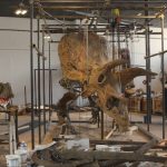 Big John, documentario di Dorino Minigutti e Davide Ludovisi