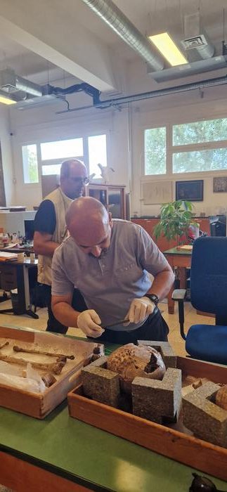 The research team inspects a tooth from a skeleton at the Musée d’Anthropologie Préhistorique in Monaco for analysis. Credits: University of Reading