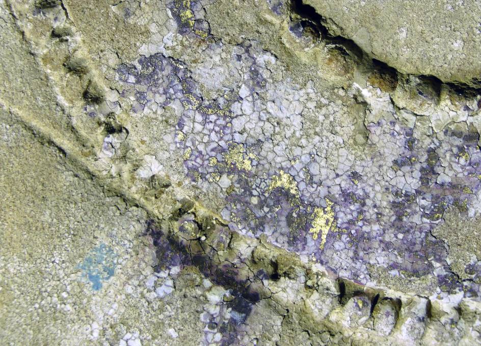 Remains of gold on the king’s collar. (Image: Victoria Altmann-Wendling / Universität Würzburg)