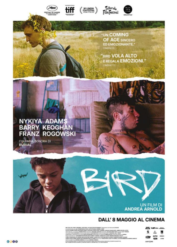 Bird, film di Andrea Arnold poster WEB