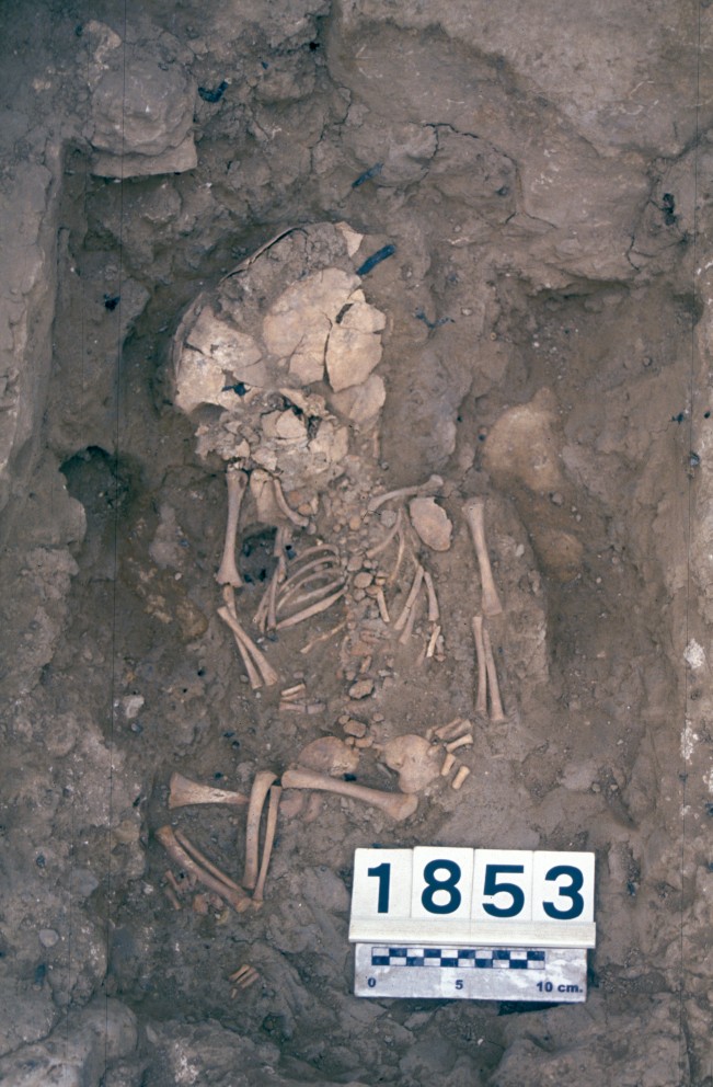 Burial of a perinatal individual from the Fortalesa dels Vilars (Arbeca, Lleida) site. Credit: ARQHISTEC-GIP, UdL