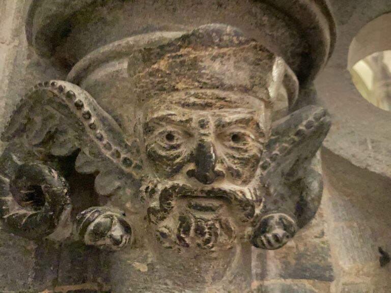 Clearly a member of the aristocracy. But what’s with the weird wings coming out of his neck? And that tail? Photo: Nancy Bazilchuk, NTNU