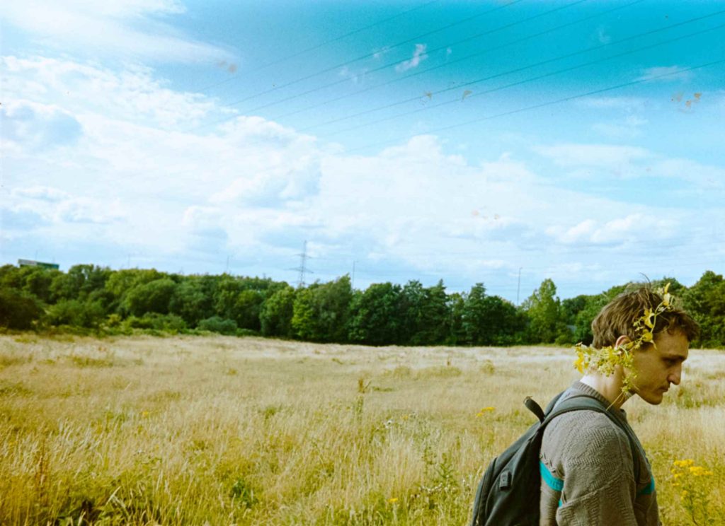 Bird film