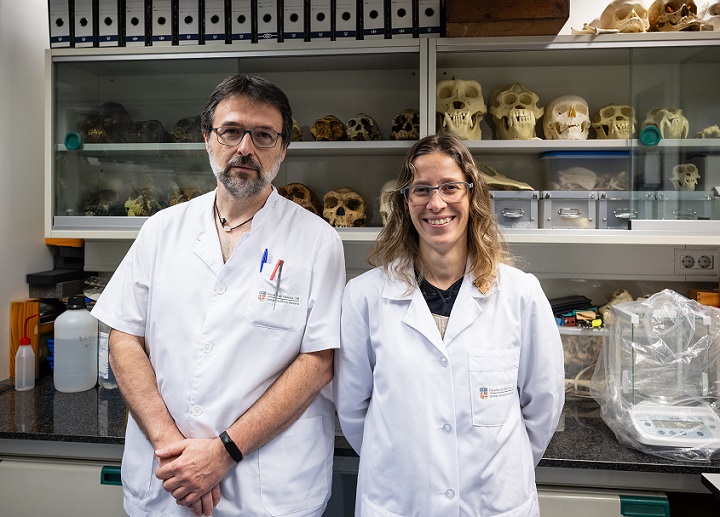 The experts Josep M. Potau and Neus Ciurana at the Faculty of Medicine and Health Sciences (University of Barcelona).