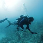 U-Boot: caccia ai tesori di guerra la serie