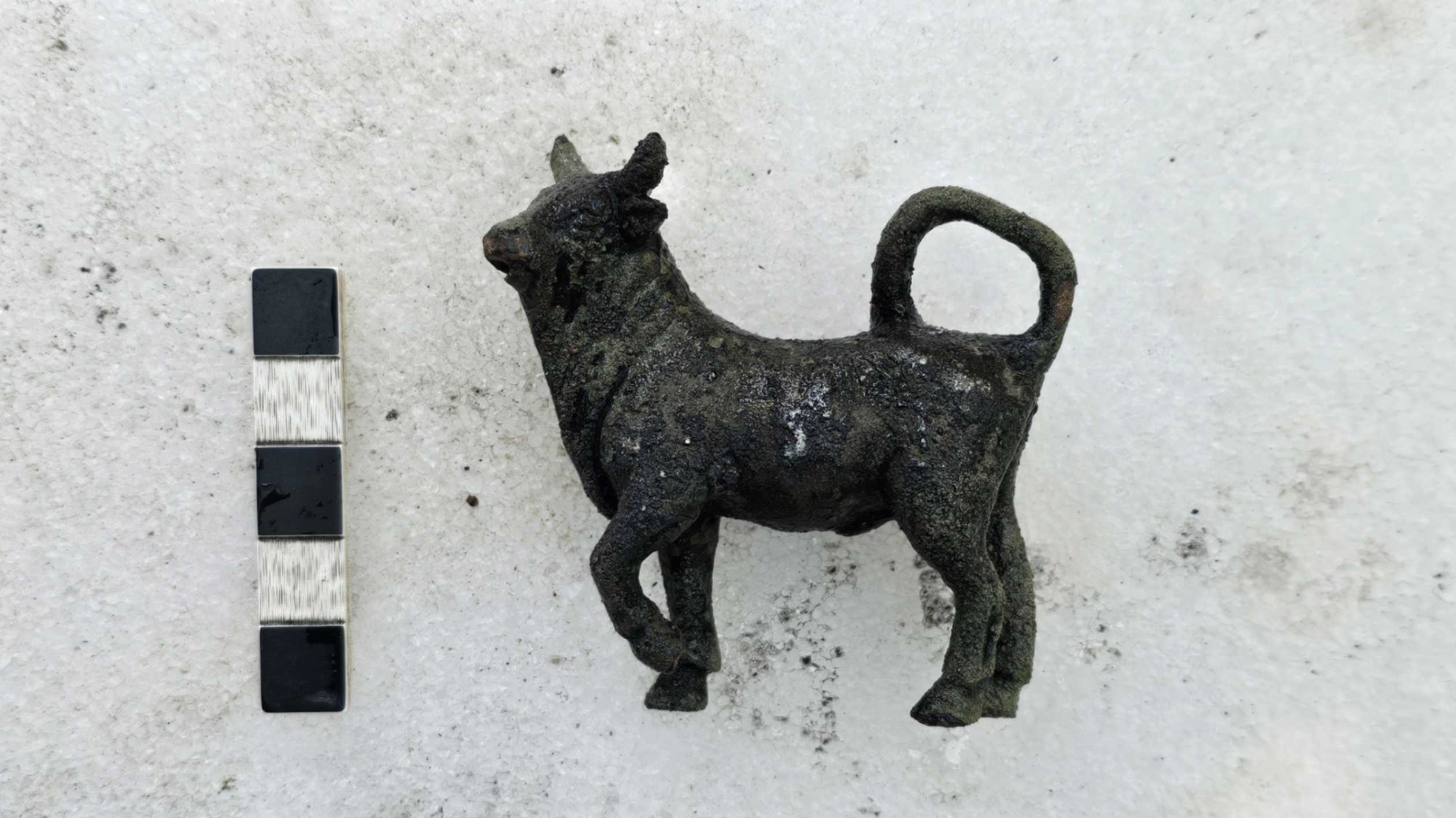 Statuetta di toro. Foto © Soprintendenza Archeologia, Belle Arti e Paesaggio per le provincie di Siena, Grosseto e Arezzo, Comune di San Casciano dei Bagni, UNISTRASI - Università per Stranieri di Siena. Foto di Chiara Fermo
