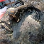 San Casciano dei Bagni: grandi novità dalla campagna di scavo 2024 Dettaglio di testa maschile. Foto © Soprintendenza Archeologia, Belle Arti e Paesaggio per le provincie di Siena, Grosseto e Arezzo, Comune di San Casciano dei Bagni, UNISTRASI - Università per Stranieri di Siena. Foto di Alessandra Fortini