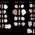 Bargny 3 site attesting the presence of MSA/Dr Alexander F. Blackwood