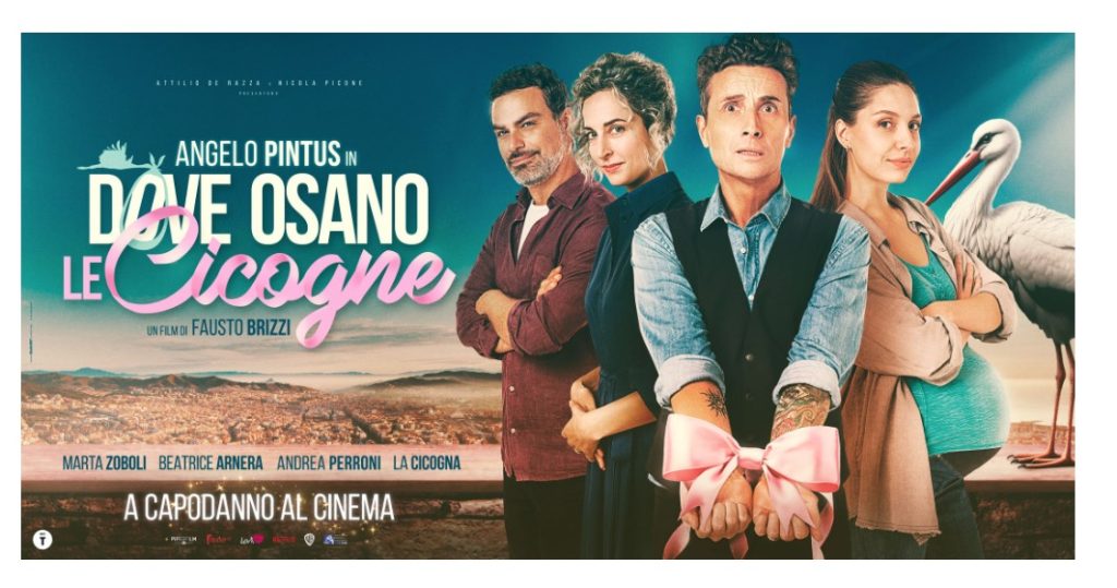 Dove osano le cicogne, film di Fausto Brizzi
