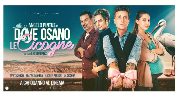 Dove osano le cicogne, film di Fausto Brizzi