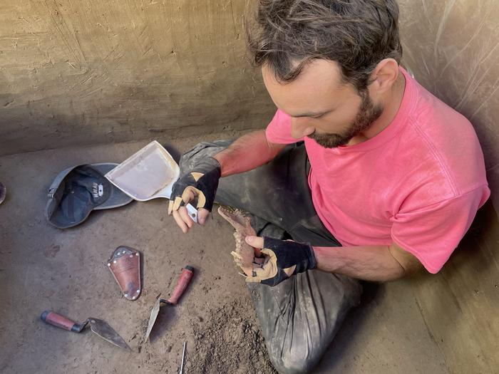 François Lanoë, an assistant research professor in the U of A School of Anthropology, after helping unearth this 8,100-year-old canine jawbone in interior Alaska in June 2023. The bone, along with a 12,000-year-old leg bone discovered at a nearby site, are some of the earliest evidence that ancient dogs and wolves formed close relationships with people in the Americas. Photo Credits: Courtesy of Zach Smith