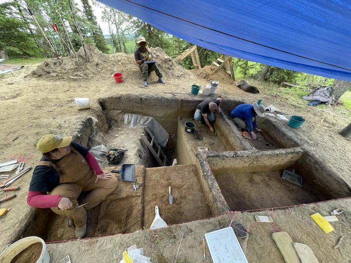 Researchers unearthed the jawbone at a site called Hollembaek Hill, south of Delta Junction, a region where archaeologists have long done research in partnership with local tribes. Photo Credits: Courtesy of Joshua Reuther