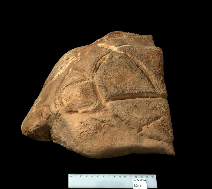 A rock carved to look like a turtle was placed in a niche in the cavern. The carvings were done approximately 35-37,000 years ago. Photo Credits: Clara Amit, Israel Antiquities Authority
