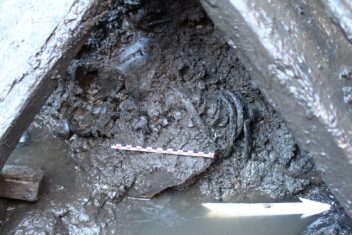 man well Sverresborg The skeleton was found and cleaned in 1938. Photo: T365, National Antiquities
