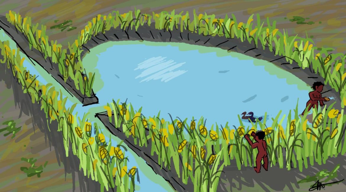 Llanos de Moxos Artwork of the ponds described in the paper. From the Extended data which are open access. Author: Julian Puig Guevara