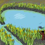 Llanos de Moxos Artwork of the ponds described in the paper. From the Extended data which are open access. Author: Julian Puig Guevara