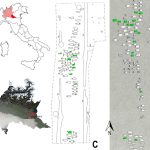 Quanto crescevano i bambini nel Medioevo? Dall’analisi dei denti da latte, provenienti dalle necropoli di Casalmoro e Guidizzolo (Mantova, Lombardia) indizi e informazioni sullo sviluppo infantile nel VII sec d. C. (A) La posizione della Lombardia (rosso chiaro) e della provincia di Mantova (in rosso) nella penisola italiana; (B) cartina geografica della Lombardia con le posizioni delle necropoli Casalmoro e Guidizzolo (cartina modificata da: https://earthobservatory.nasa.gov/); (C) scavi alla necropoli di Casalmoro; (D) scavi alla necropoli di Guidizzolo (in verde le tombe investigate nello studio). Crediti per l'immagine: © 2024 Magri et al., CC BY 4.0