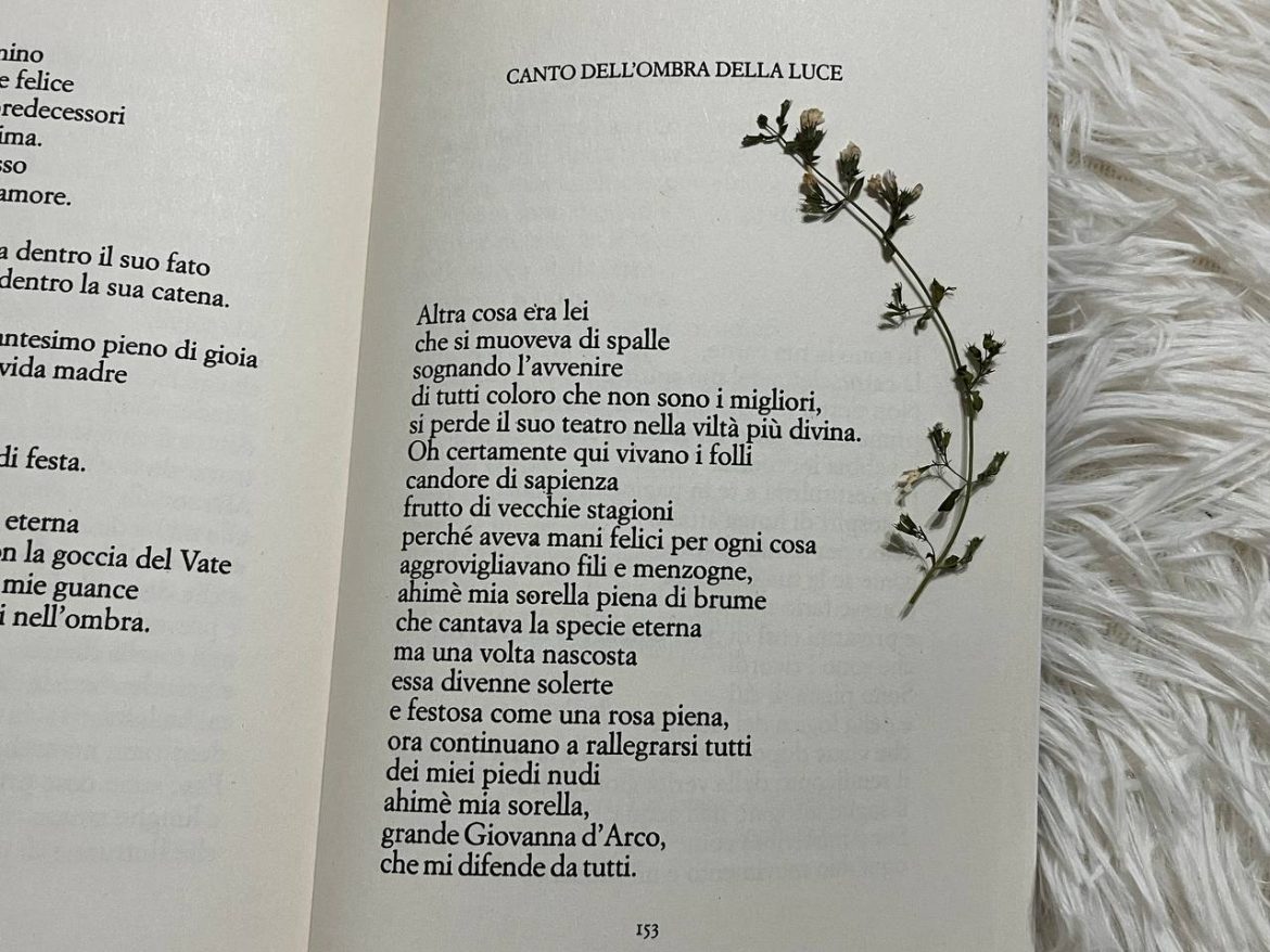Alda Merini poesia