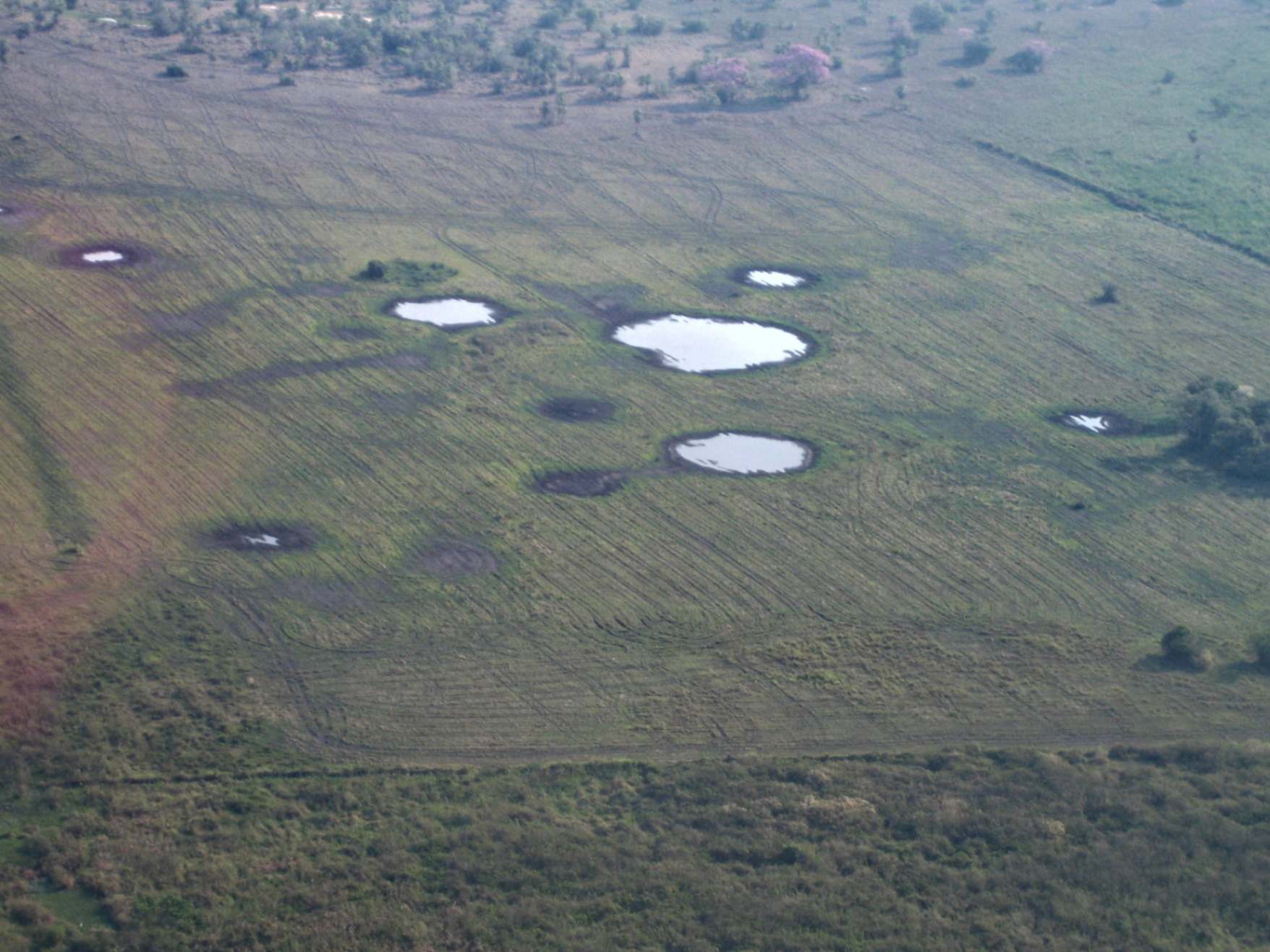 ponds from airplane. Photo Credits: Umberto Lombardo