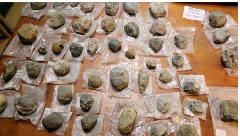 Early Hominin toolmaking at the Melka Wakena site, in Ethiopia, sheds light on Engineering ingenuity; a study published in PLoS ONE Stone percussors and hammerstones from locality MW2, all made on volcanic raw materials. Photo credits: Erella Hovers