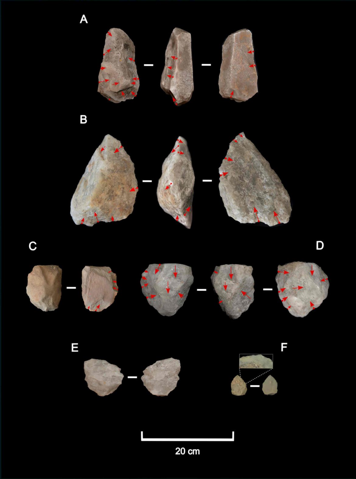 Homo erectus de Engaji Nanyori en la Garganta de Oldupai (Tanzania) se adaptó a condiciones climáticas extremas Stone tools from Engaji Nanyori/Mercader et al