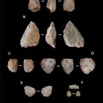 Homo erectus de Engaji Nanyori en la Garganta de Oldupai (Tanzania) se adaptó a condiciones climáticas extremas Stone tools from Engaji Nanyori/Mercader et al