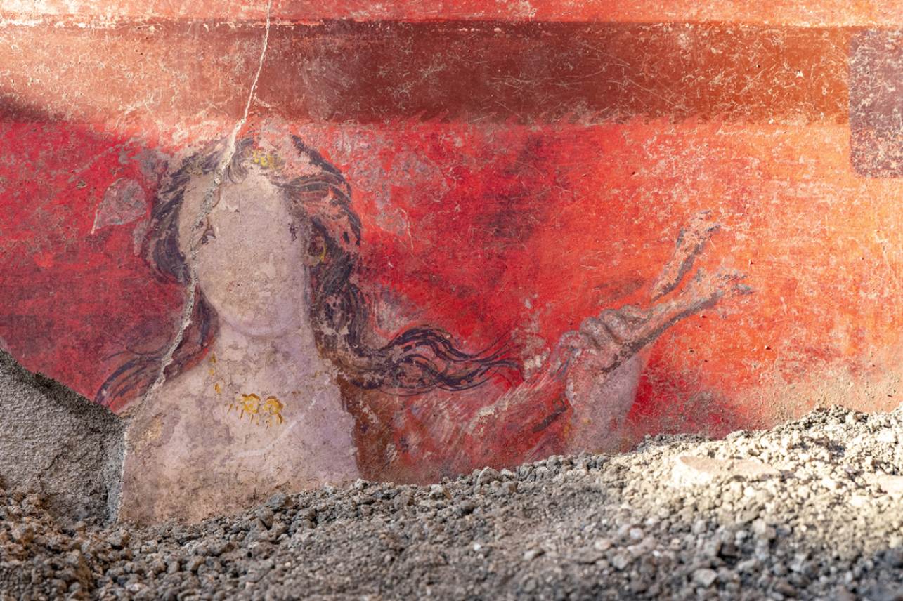 Casa del Tiaso Dioniso Megalografia Regio IX