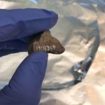 Cerritos sherd. Photo M. Admiraal