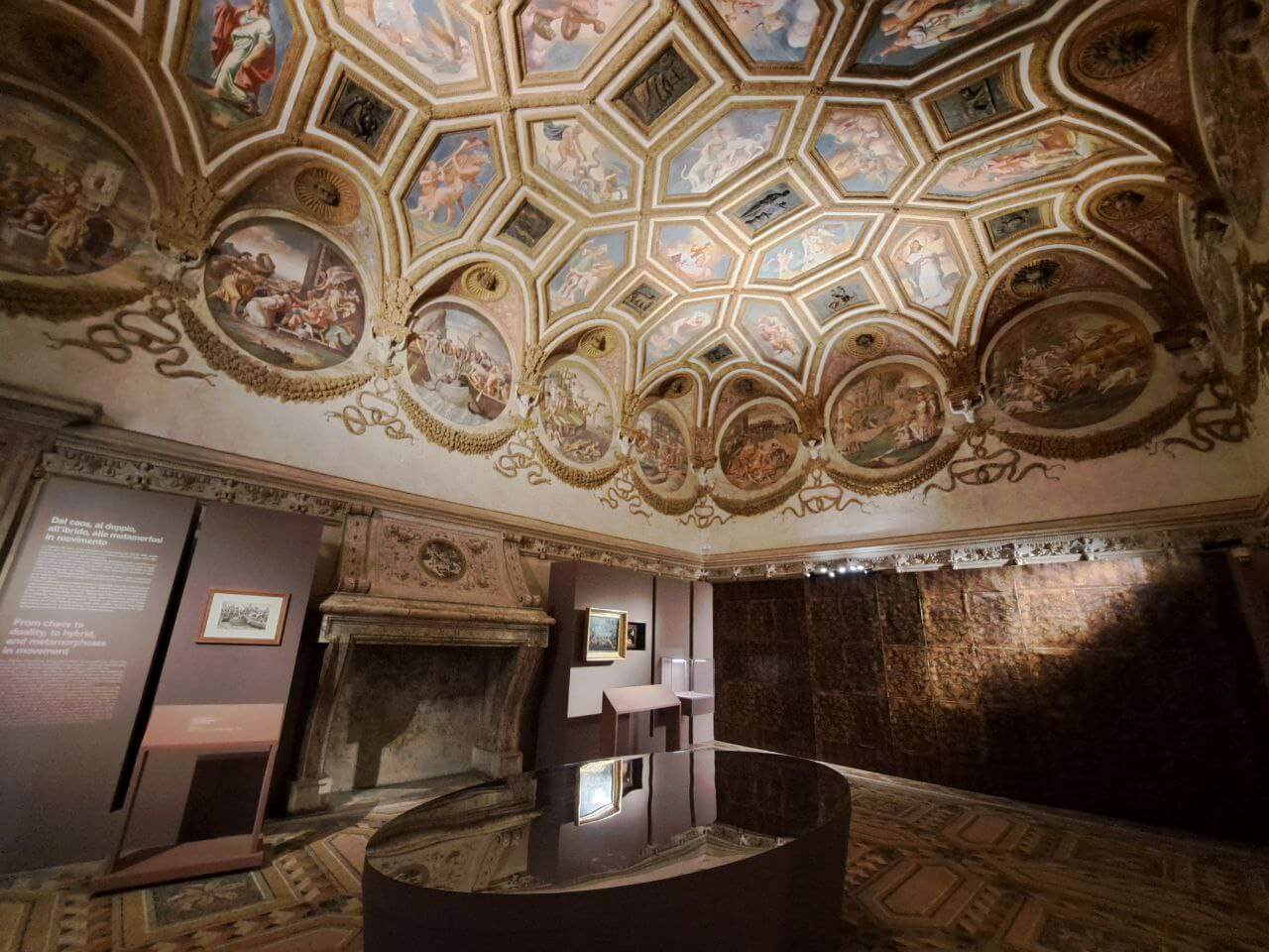 Dal caos al cosmo. Metamorfosi a Palazzo Te. Foto di Giuseppe Fraccalvieri