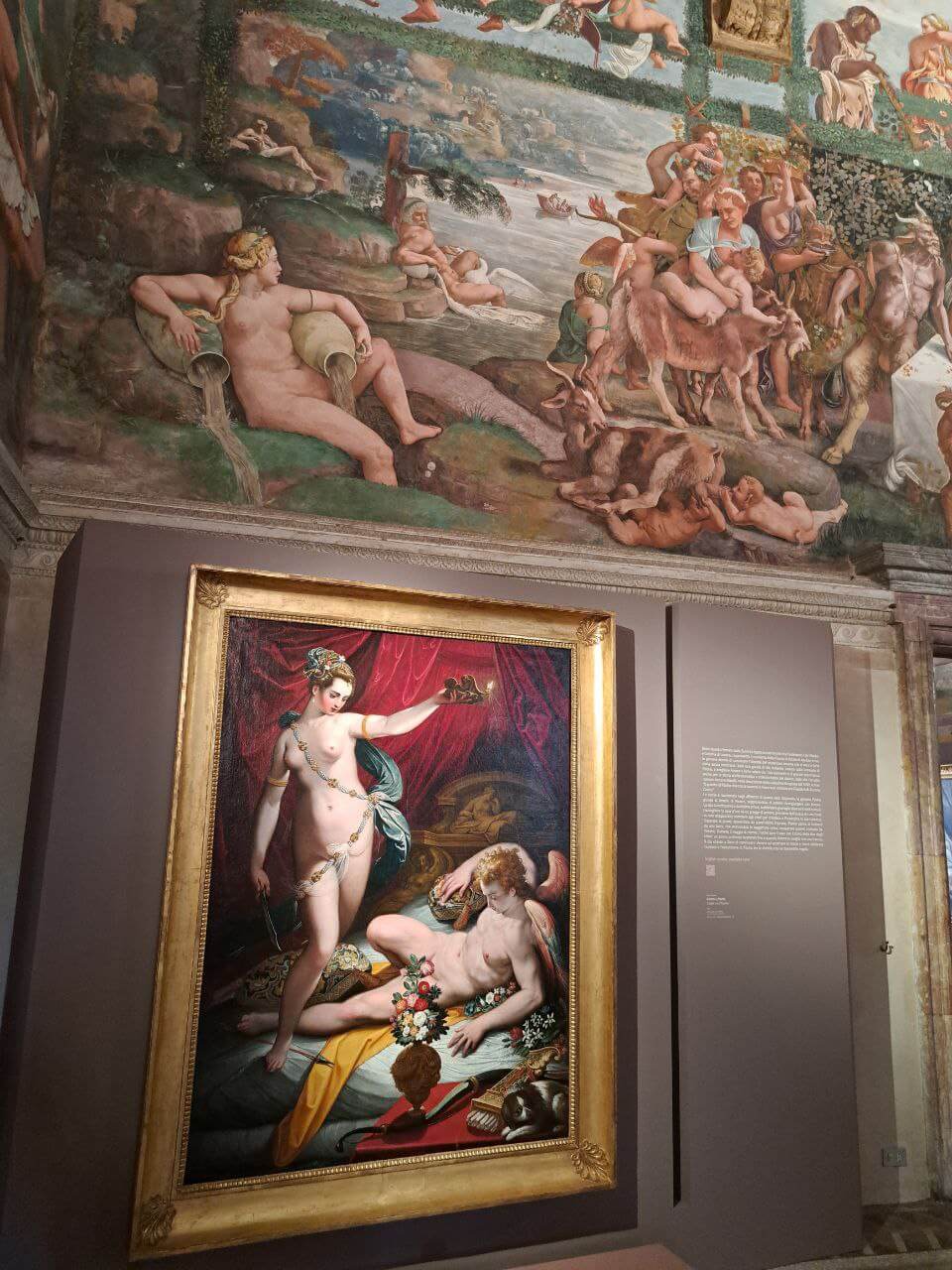 Dal caos al cosmo. Metamorfosi a Palazzo Te. Foto di Giuseppe Fraccalvieri